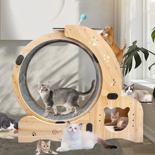6-in-1 Cat Exercise Wheel